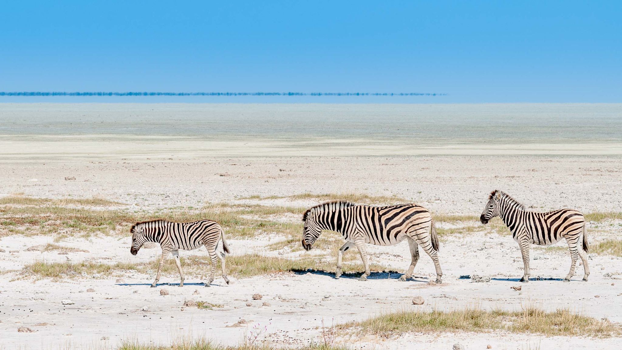 Etosha Nationalpark 